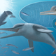 Image for article titled How Ancient Whales Turned Sound Into a Killing Tactic